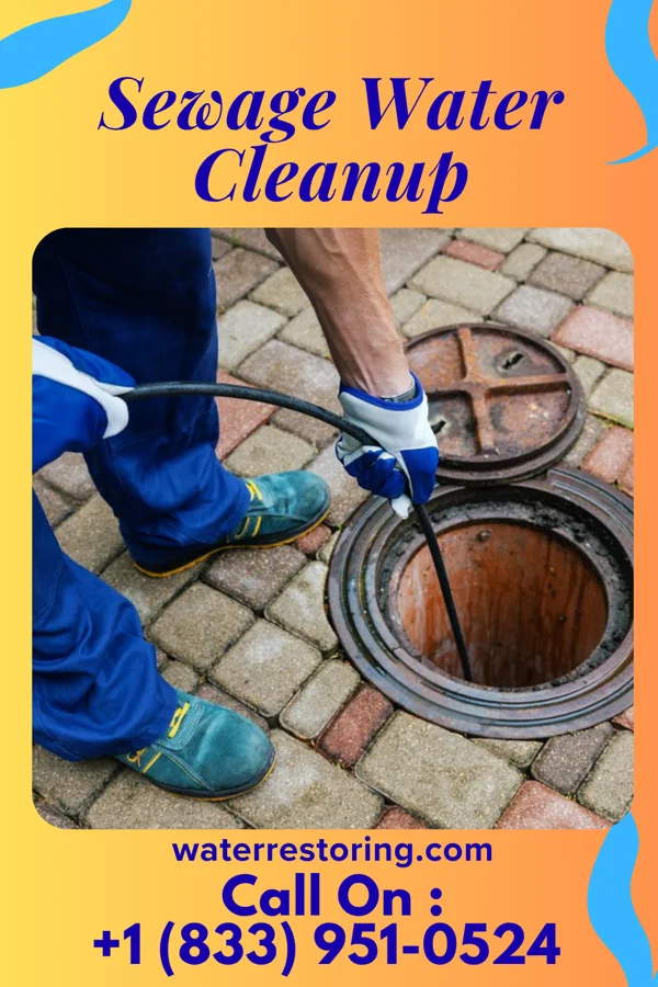 Sewage Water Cleanup in Hartwell, GA